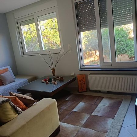 Lefkothea'S House Lejlighed Athen Eksteriør billede